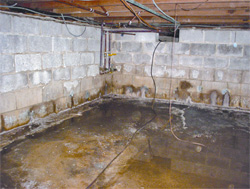 How Water Damage Restoration Services Blaine Can Save Your Home from Lasting Harm