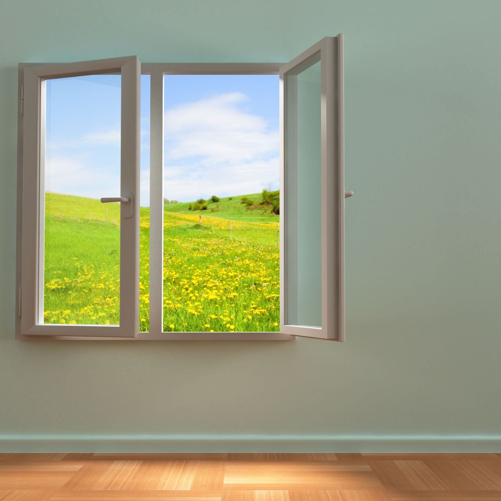 4 Warning Signs You Need Replacement Windows