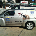 pest-control-management-metro-pest-control-glendale-ny-callout10.1