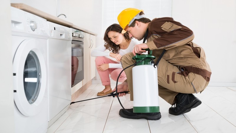 The Advantages of Having Routine Pest Control Services in Salem OR