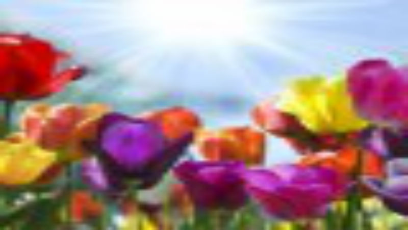 The Benefits Of A Funeral Preplanning Service