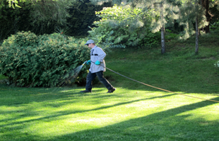 Things Homeowners Should Consider About Using Pest Control in Spokane