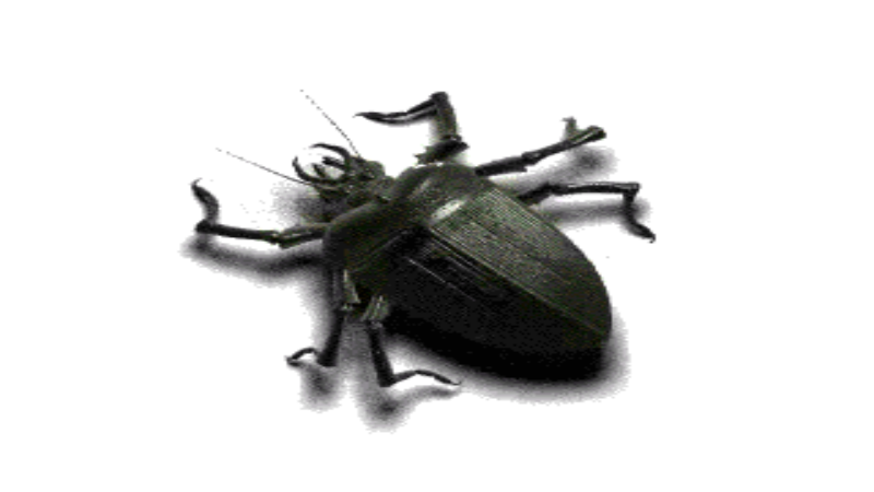 Using Industrial Pest Control in Arlington VA To Keep Mice Out Of A Warehouse