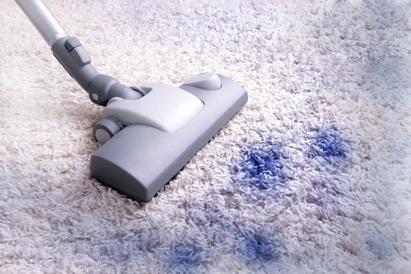 Tips for Removing Various Types of Stains to Carpet in Lawrence KS