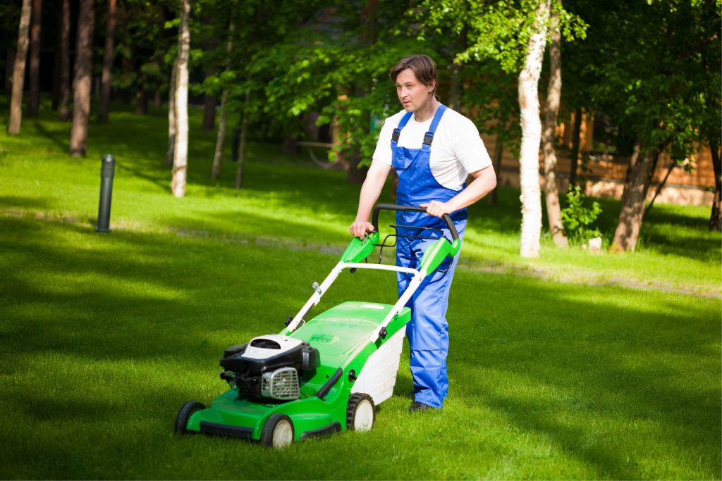 Achieve a Greener lawn with Lawn Fertilizer Service in Olive Branch, MS, Solutions