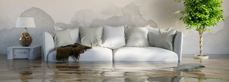 The Benefits of Professional Water Damage Restoration in Colorado Springs