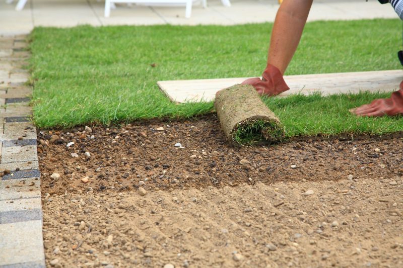 What’s the Difference Between Topsoil and Garden Lawn Soil in Killeen, Texas?
