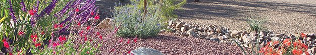 Why Choosing a Landscaping Service in Company Manhattan, IL Enhances Curb Appeal Instantly