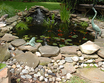 Consider Beautiful Aquascapes in Brookfield WI