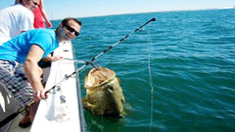Enjoy a Cruise or Fishing Expedition with a Boat Rental in Naples, FL