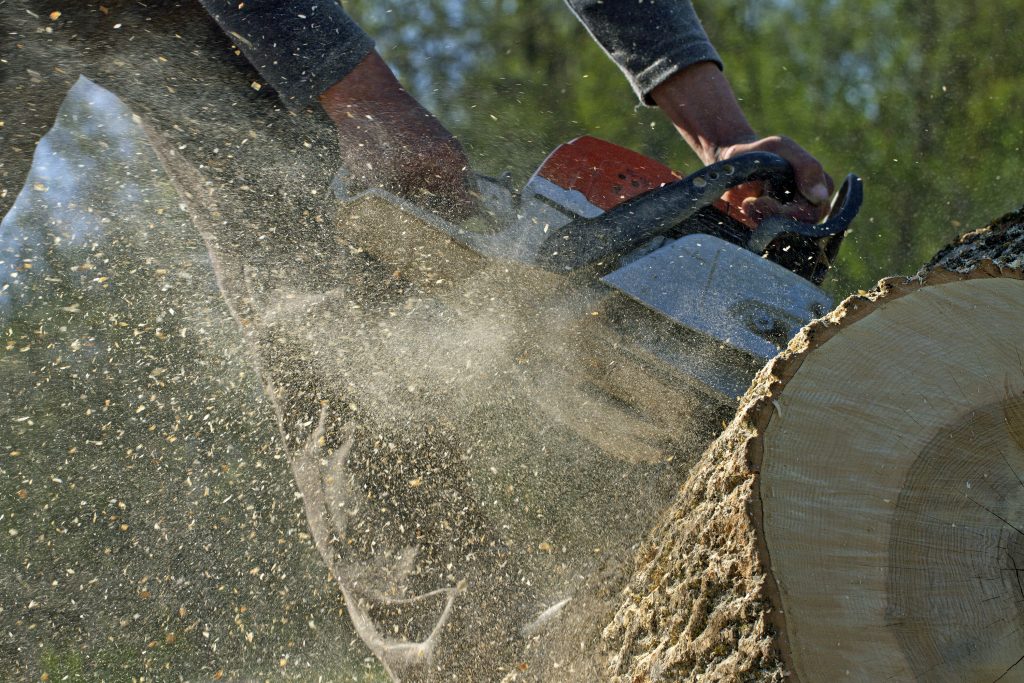 Secure your yard from storm damage with expert tree cutting service in Gig Harbor WA