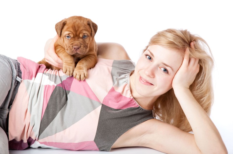 Establish a Relationship with Dog Boarding Companies that Offer Daily Services