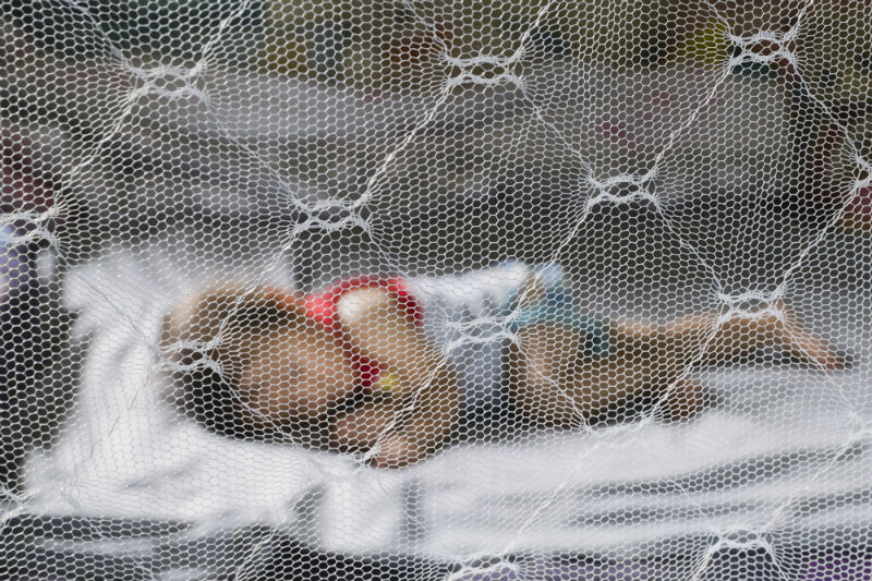 3 Benefits of Professional Insect Control in Ankeny, IA