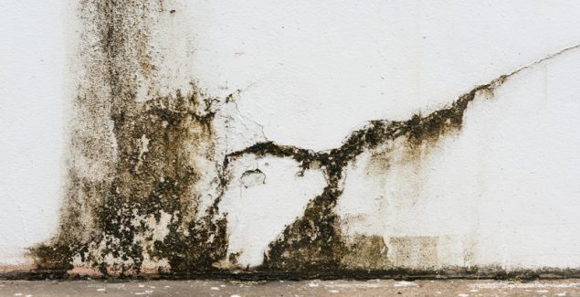 Top Reasons to Hire Professionals for Water Damage Restoration in Omaha, NE