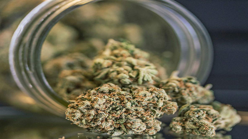 It’s Time to Start Dosing Regularly With Full Spectrum CBD Tincture