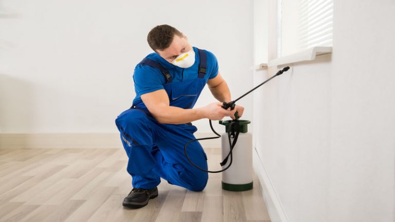 3 Reasons Why Professional Bed Bug Treatment in Detroit, MI, Makes Sense