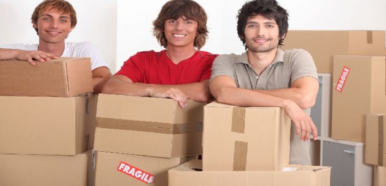 Reasons to Use Moving Companies for Warehousing and Storage