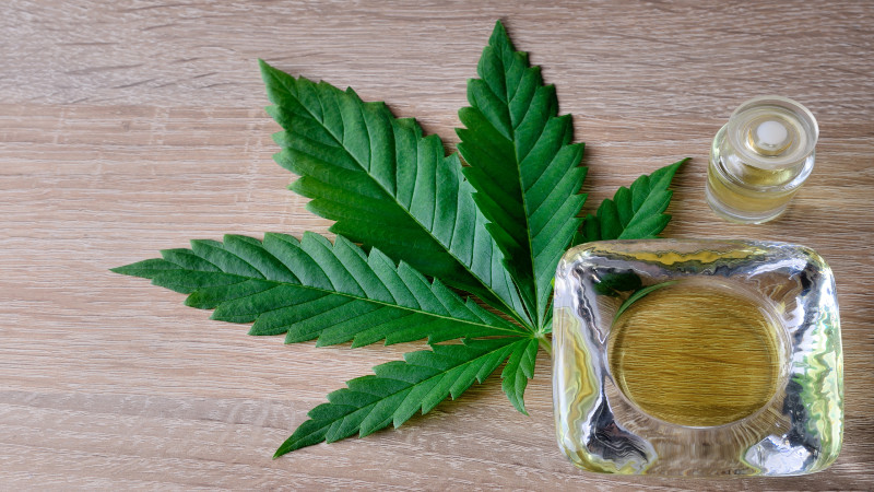 The Importance Of Choosing CBD Pure Hemp Oil