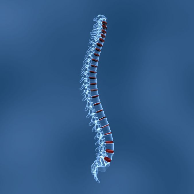 Coastal Spine And Pain Physicians Treatment Options For Osteoporosis