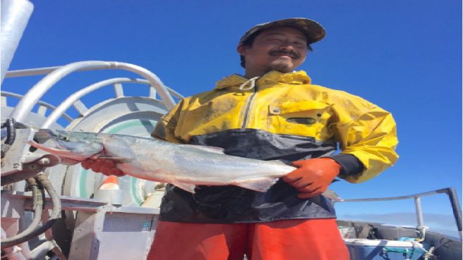 Three Family Friendly Ways to Prepare Alaskan Sockeye Salmon