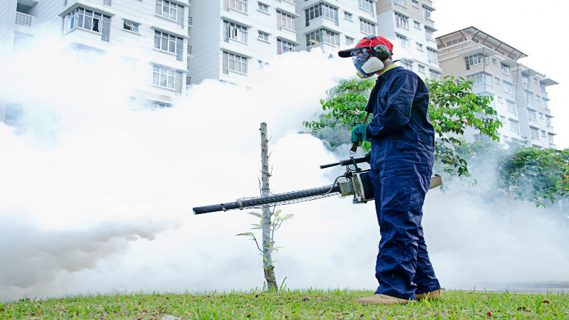 4 Top Benefits of Hiring Pest Control Services in Fort Myers, Florida