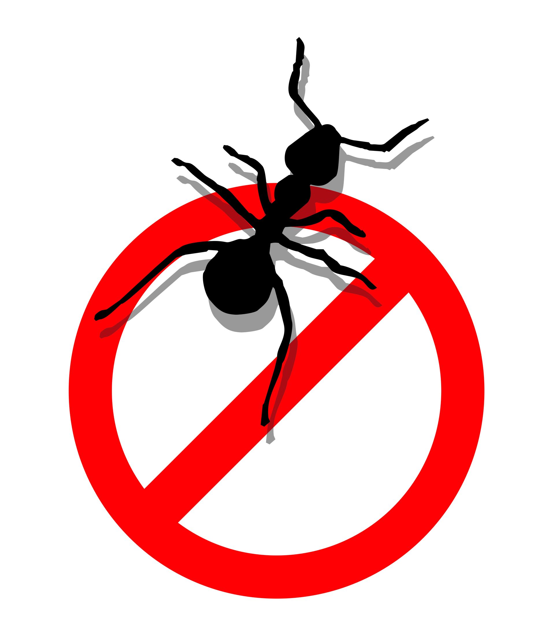 Bed Bug Exterminators in Rancho Cucamonga CA Effectively Rid The Home Of These Pests