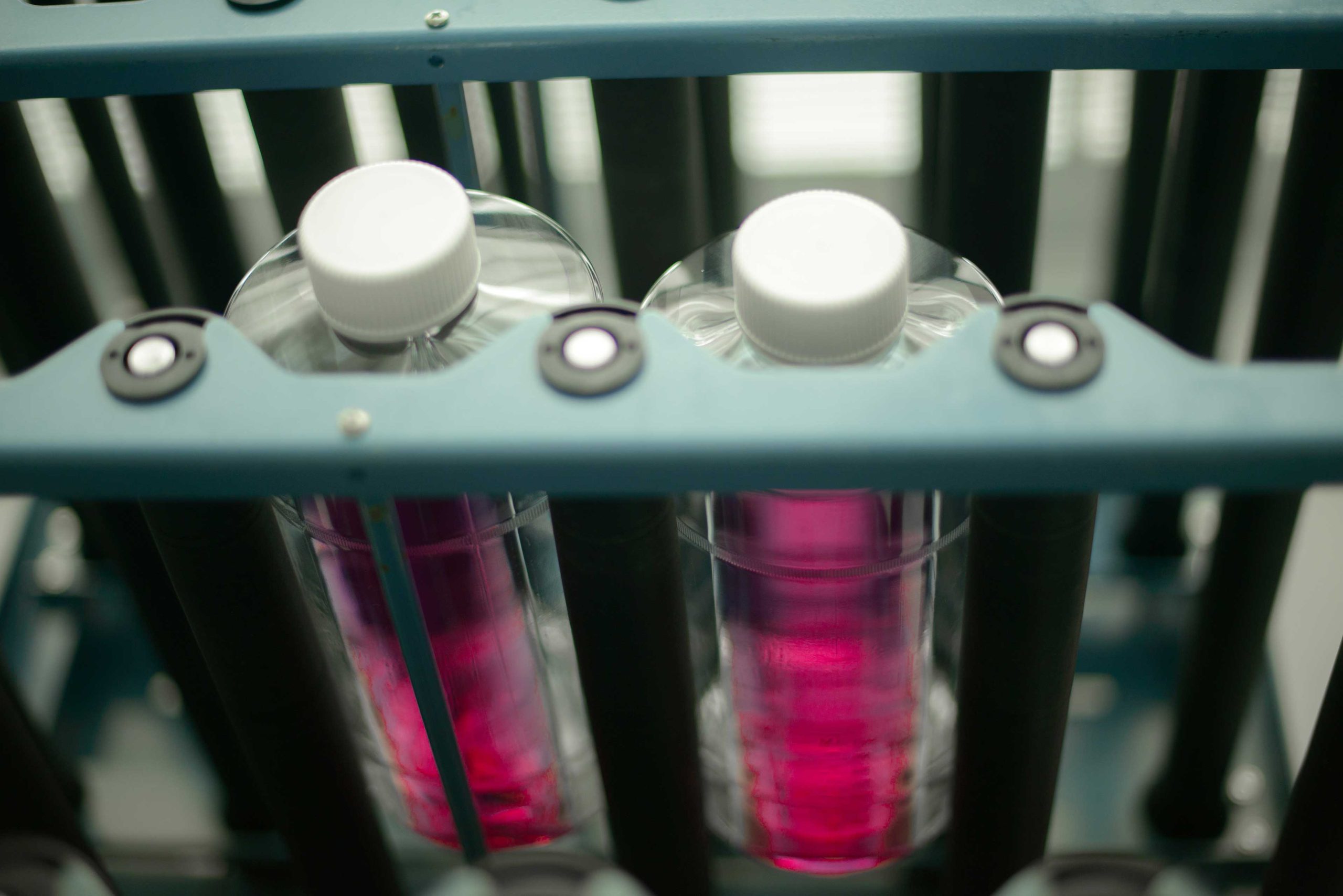 What to Know About Cell Culture Supernatant