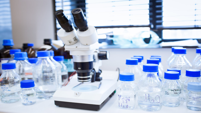 Why Mycorrhizal Fungi Is a Good Supplement With Which to Grow Your Weed