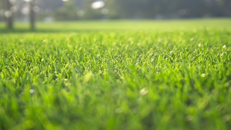 What to Look for in a Golf-Course Community in Lake Geneva, Wisconsin