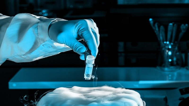 What You Should Know About Intrauterine Insemination in Orange County, CA