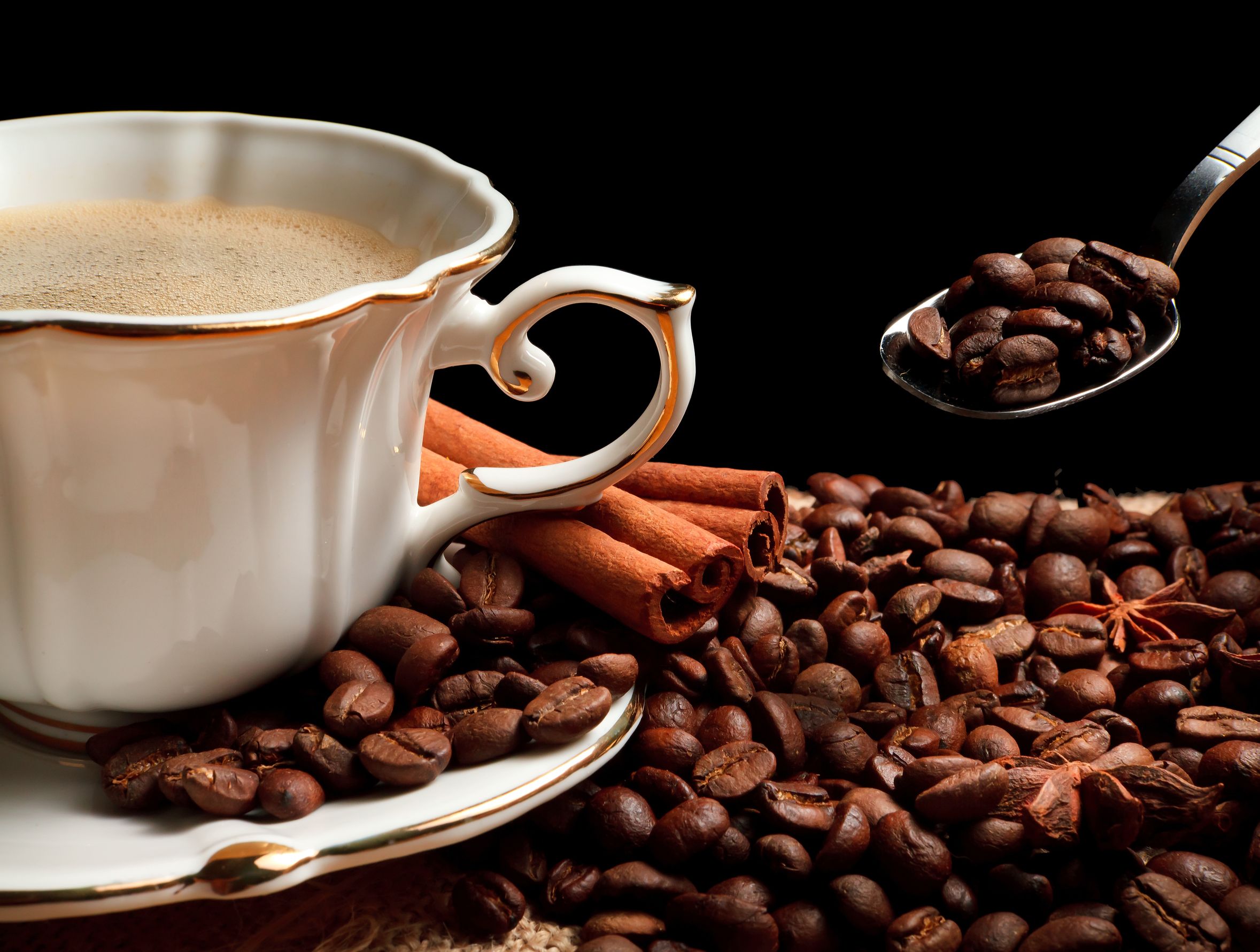 How to Select the Perfect Coffee Beans For Brewing Your Morning Cup