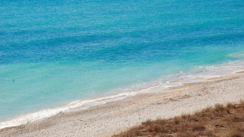 Why You Need to Participate in Water Sports in Clearwater Beach, Florida