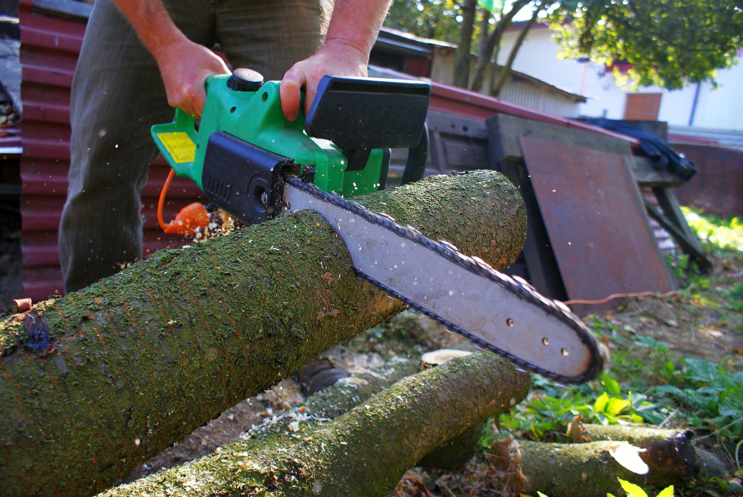 How to Select a Reliable Tree Removal Company in Roswell, GA
