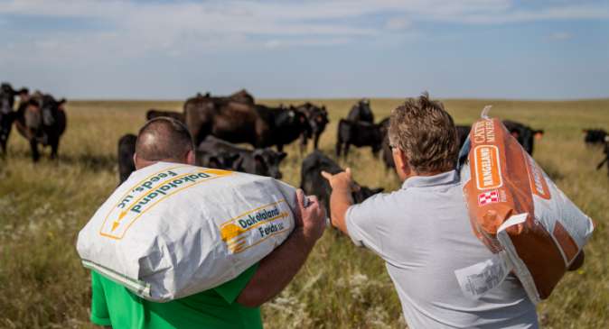 Finding a Reliable Propane Supplier in Oakes, ND: Factors to Consider