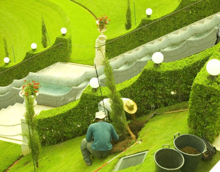 Enjoy Quality Landscape Maintenance Services in Maryland