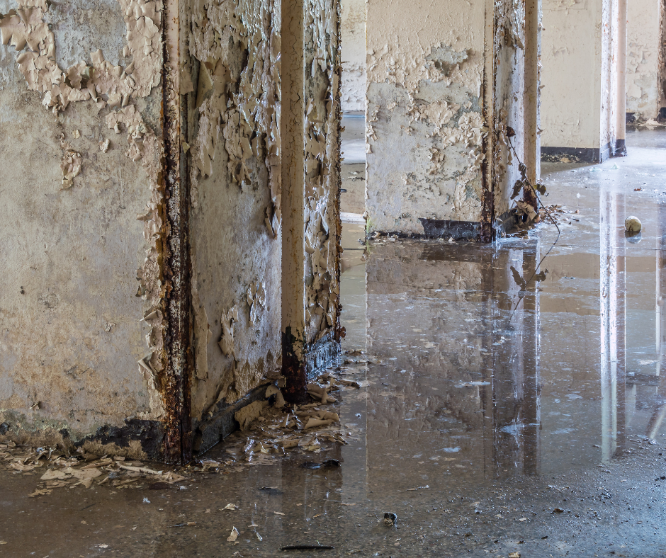 Learn how basement crawl space waterproofing in Peachtree City, GA, prevents costly home water damage