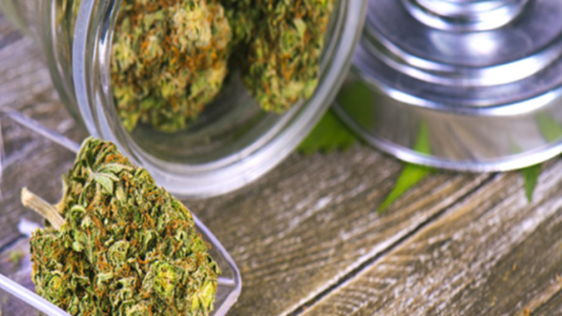 Using a Cannabis Delivery Service in San Jose Will Save You Time