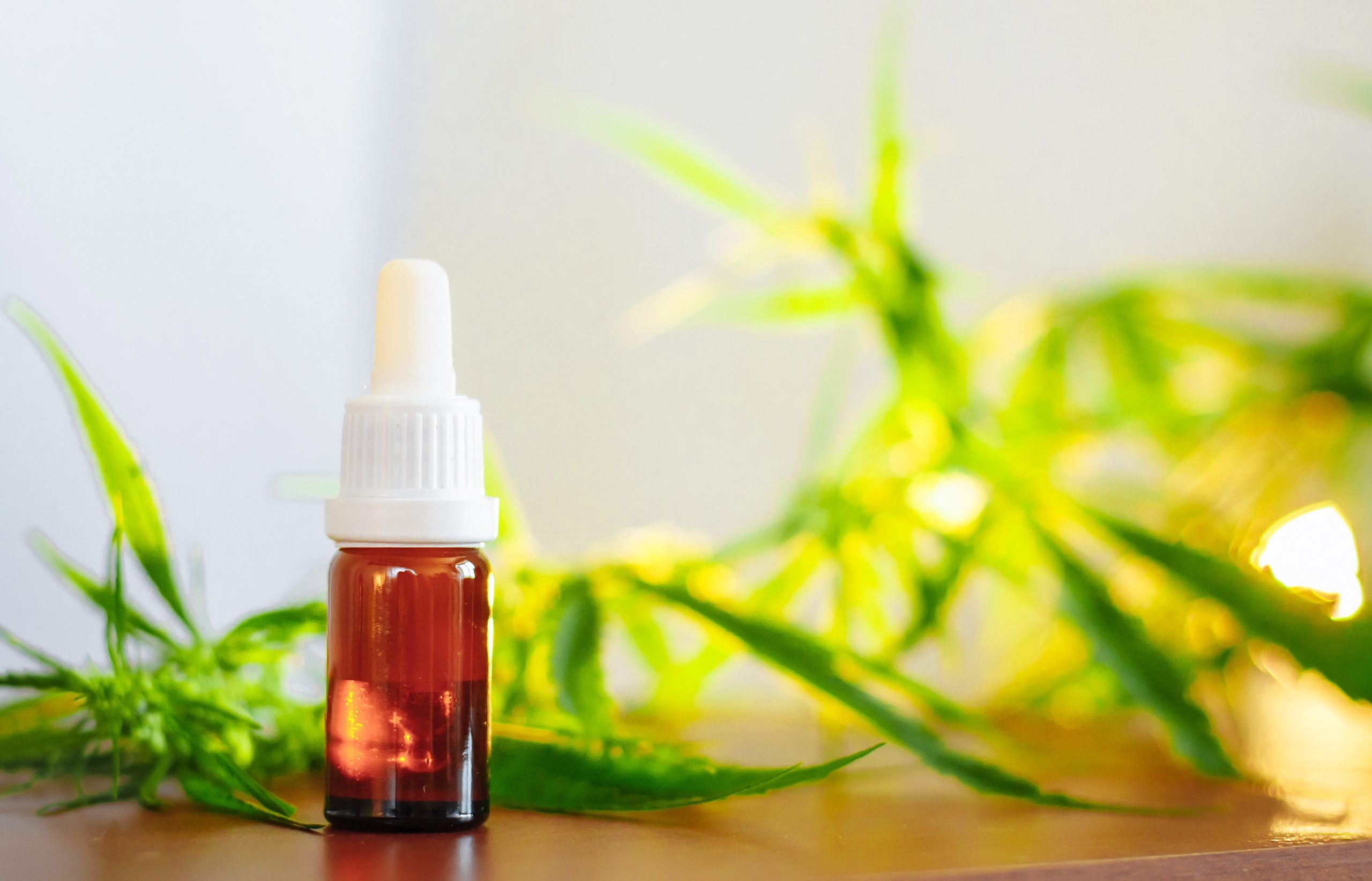 Searching for a Marijuana Shop in Yukon, OK