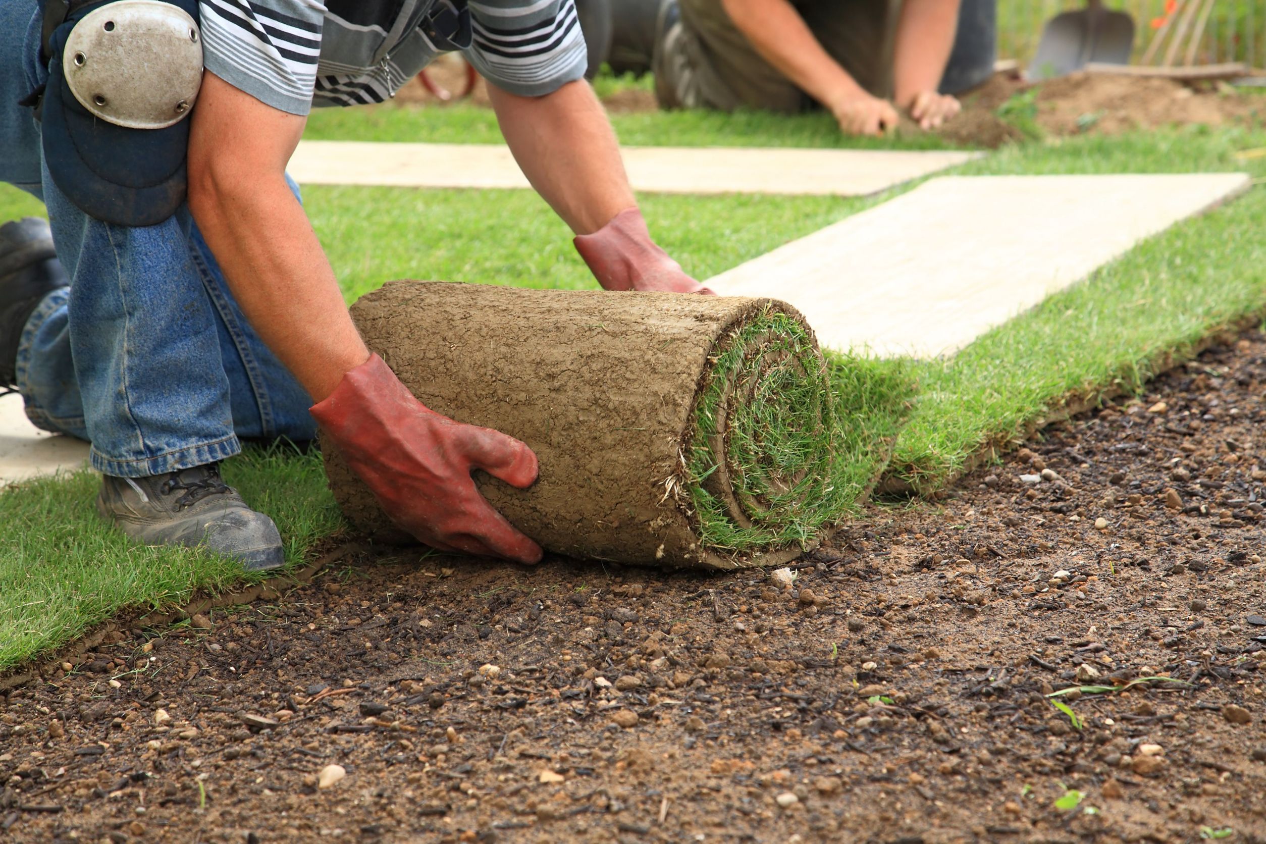 The Basic Concerns of Commercial Landscaping in Burlington, Ontario