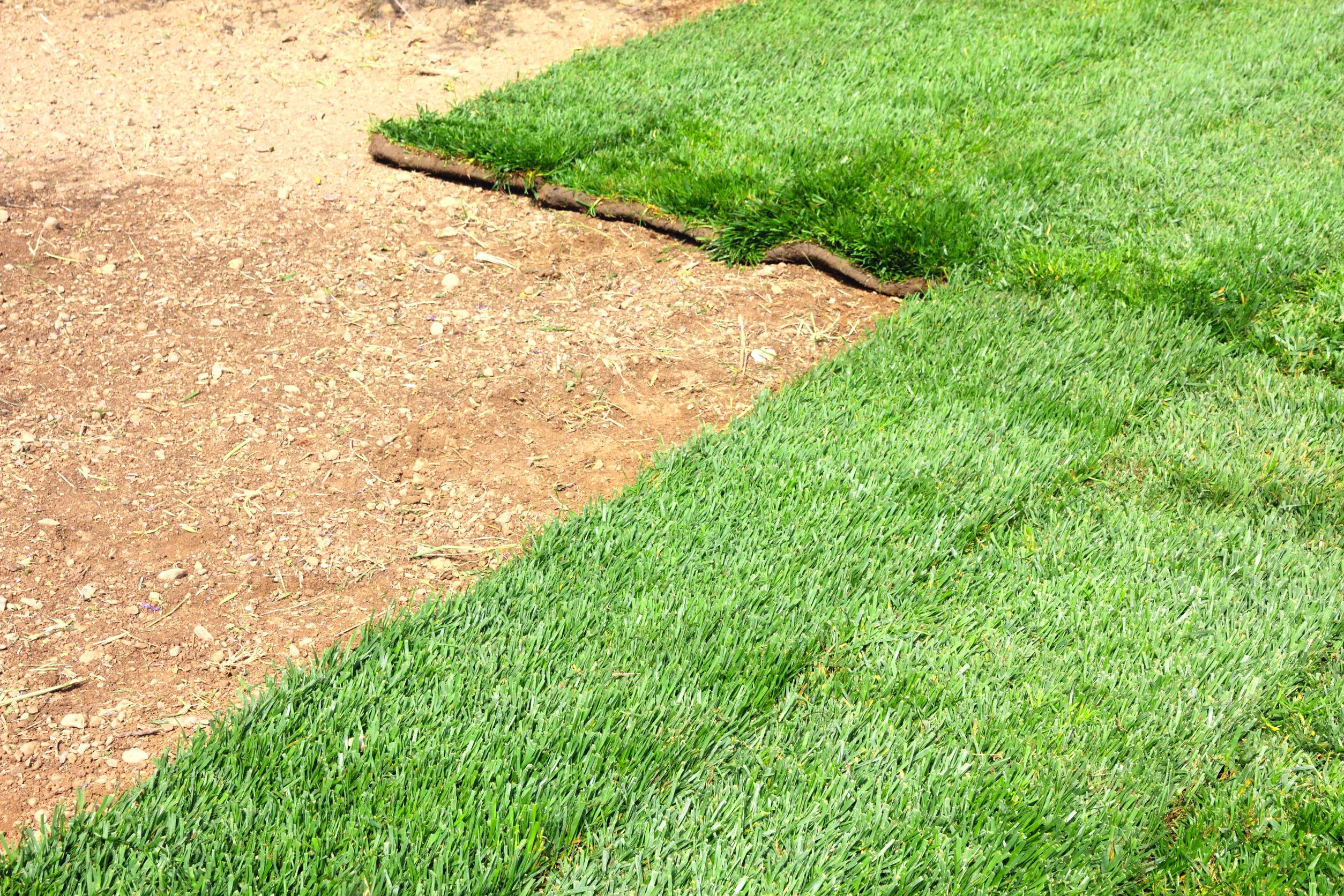 Creating a Lush Green Landscape: The Role of Sod in Transforming Your Temecula, CA, Garden