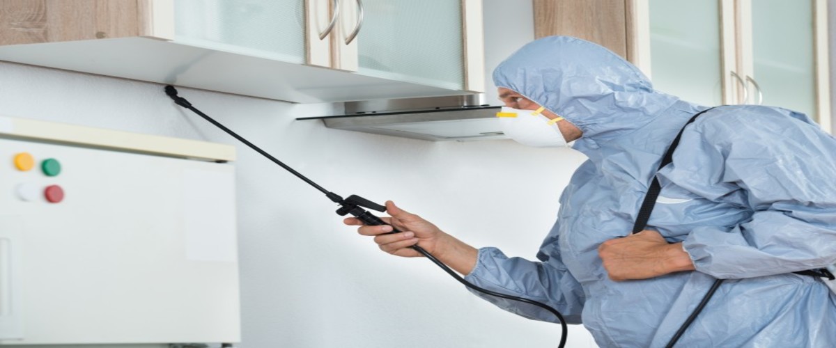 The Benefits Of Residential Pest Control in Ipswich, QLD