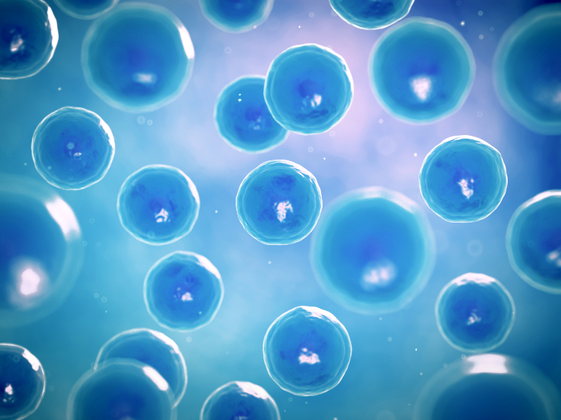 Avoiding Surgery With This Natural Alternative to Healing in Kennebunk, ME