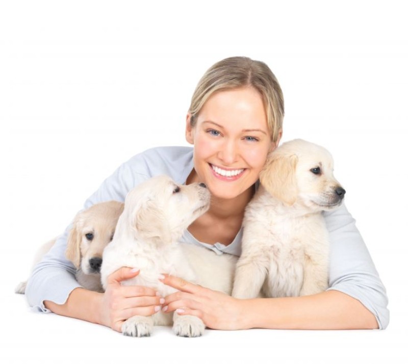 A Comprehensive Guide to Specialized Pet Care with Animal Hospitals in Sarasota, FL