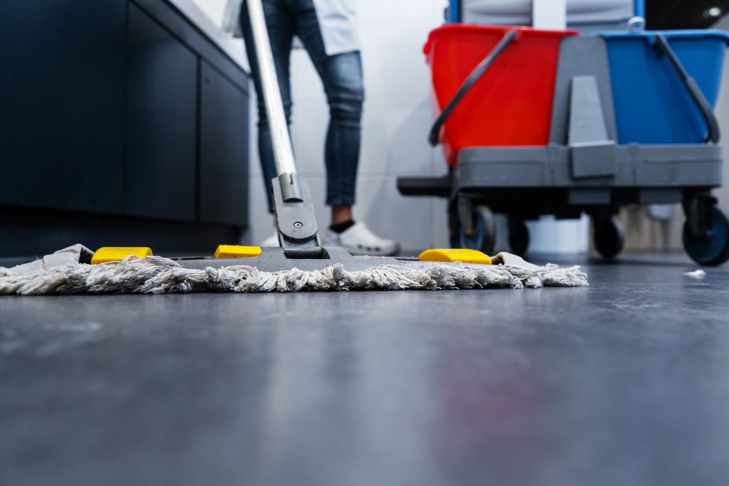 Get the Clean You Deserve with Expert Carpet Cleaning in Mishawaka, IN