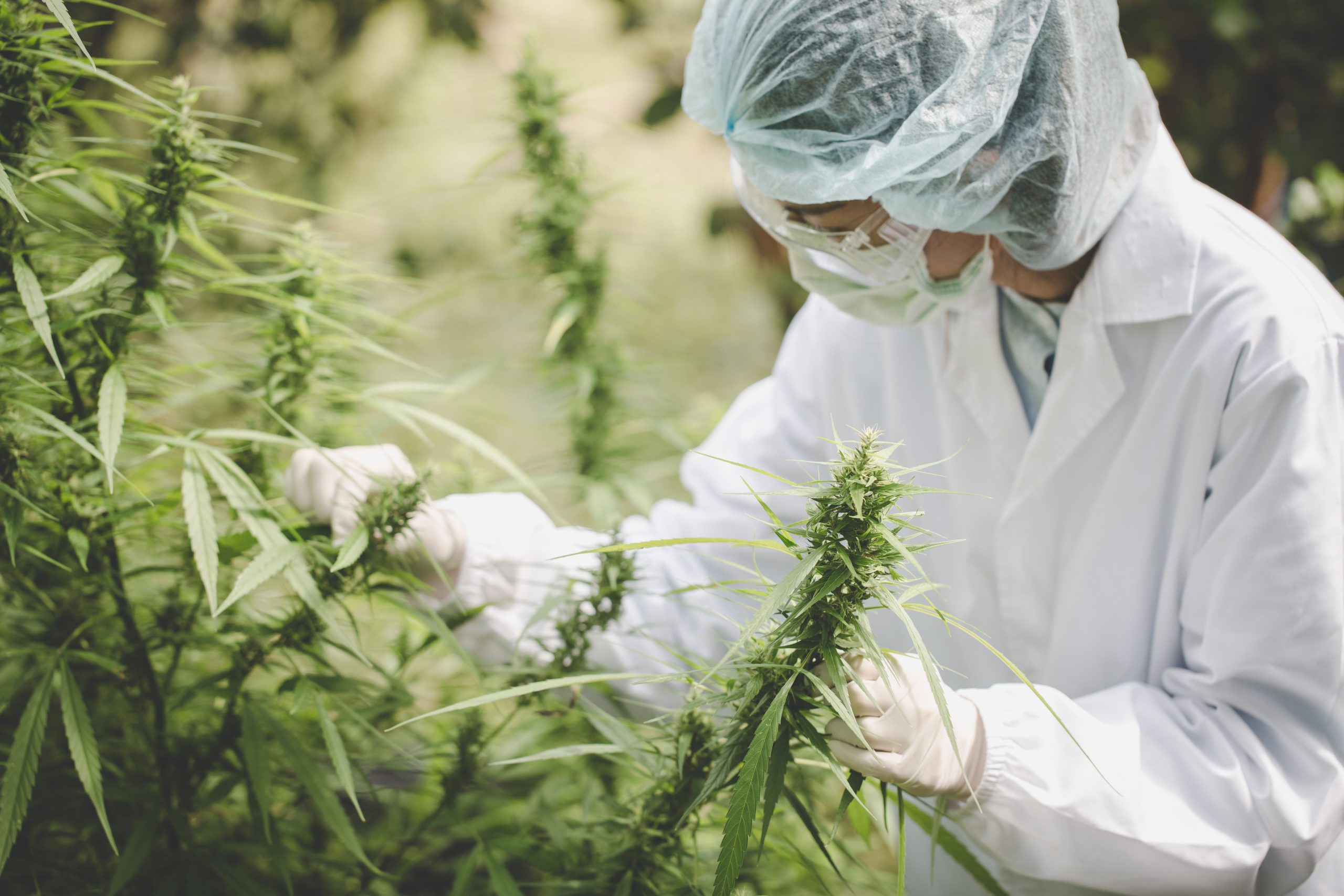 u are looking for medical dispensary locations,