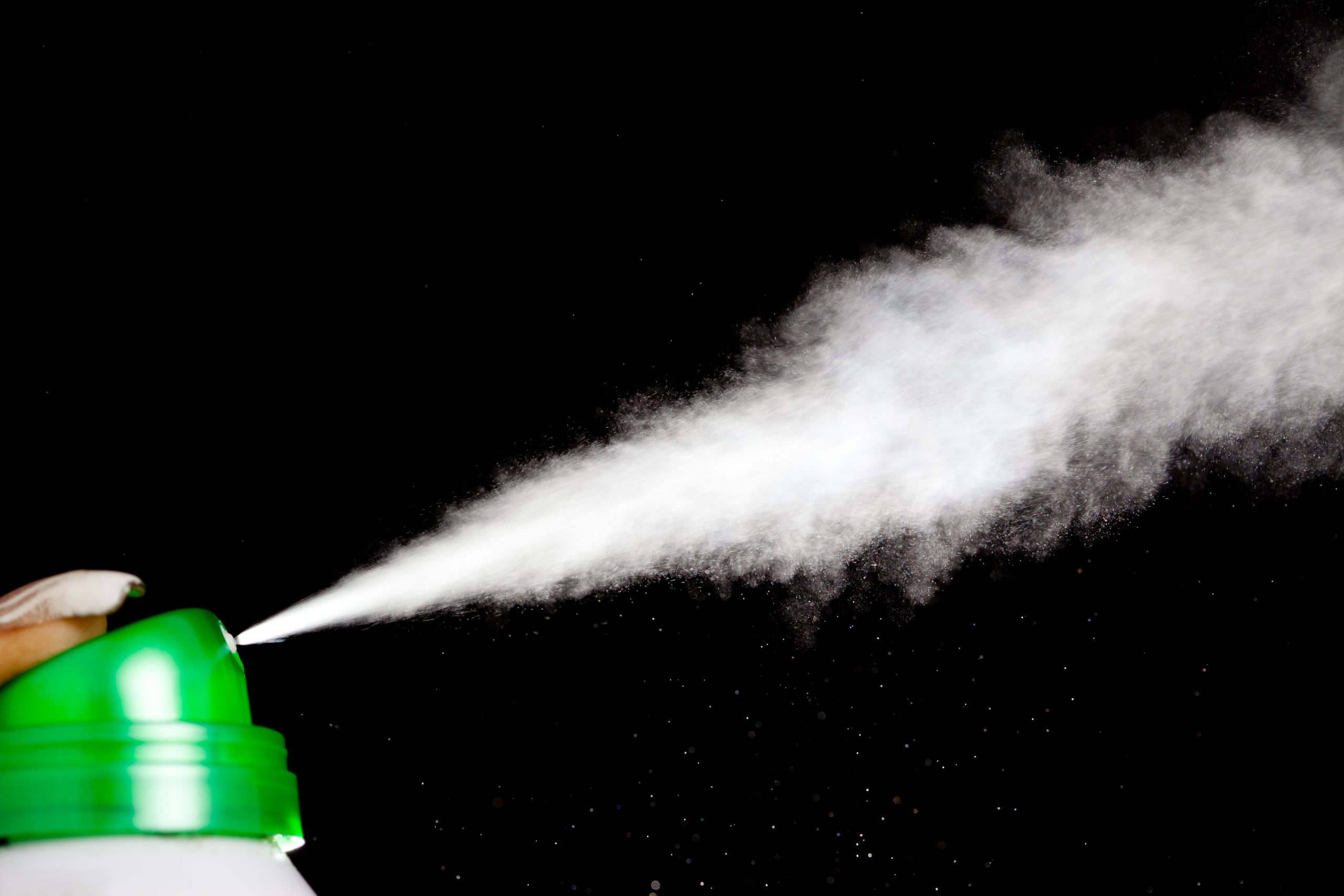 Protecting Your Home: Superior Rodents Control in Olympia