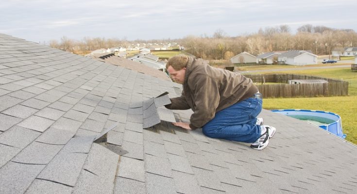 The Irrefutable Superiority of Metal Roofs in Clay County: A Comprehensive Look at Unmatched Longevity, Aesthetic Elegance, and Enduring Resilience