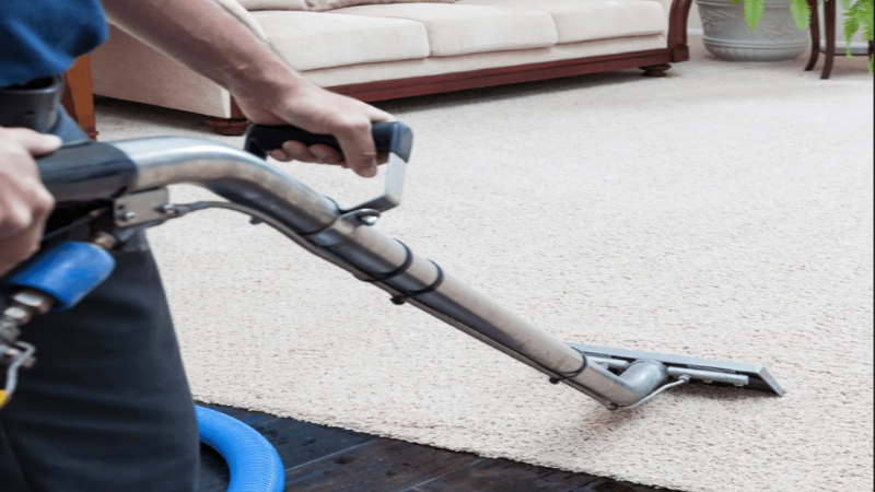 Commercial Carpet Cleaning Services in Westminster, CO: Elevating Cleanliness and Professionalism