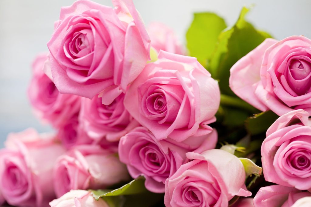 Experience The Charm And Beauty of The Best Flower Shop in Sherman Oaks Has to Offer: Unique Arrangements For Every Occasion