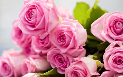Experience The Charm And Beauty of The Best Flower Shop in Sherman Oaks Has to Offer: Unique Arrangements For Every Occasion